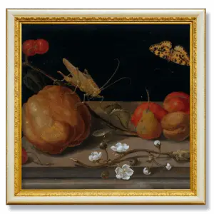 maria sybilla merian 250+ high resolution artworks